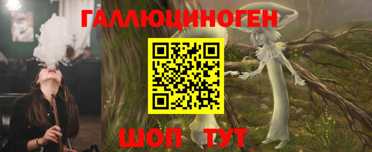 Псилоцибиновые грибы Psilocybe  Вход с VPN  Кузнецк 
