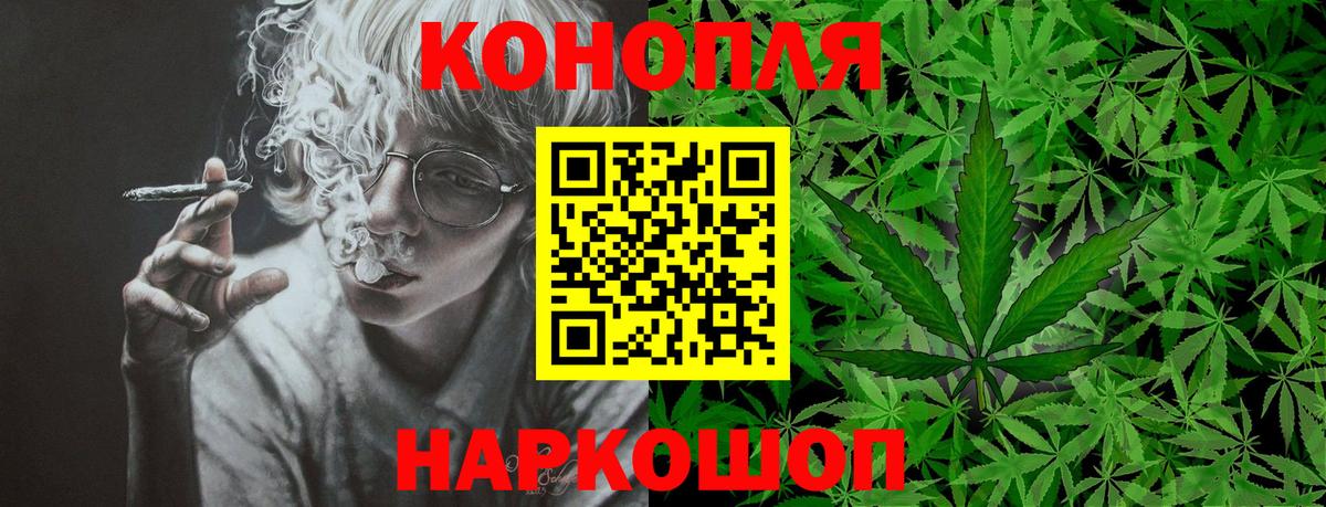 МАРИХУАНА сатива Кузнецк